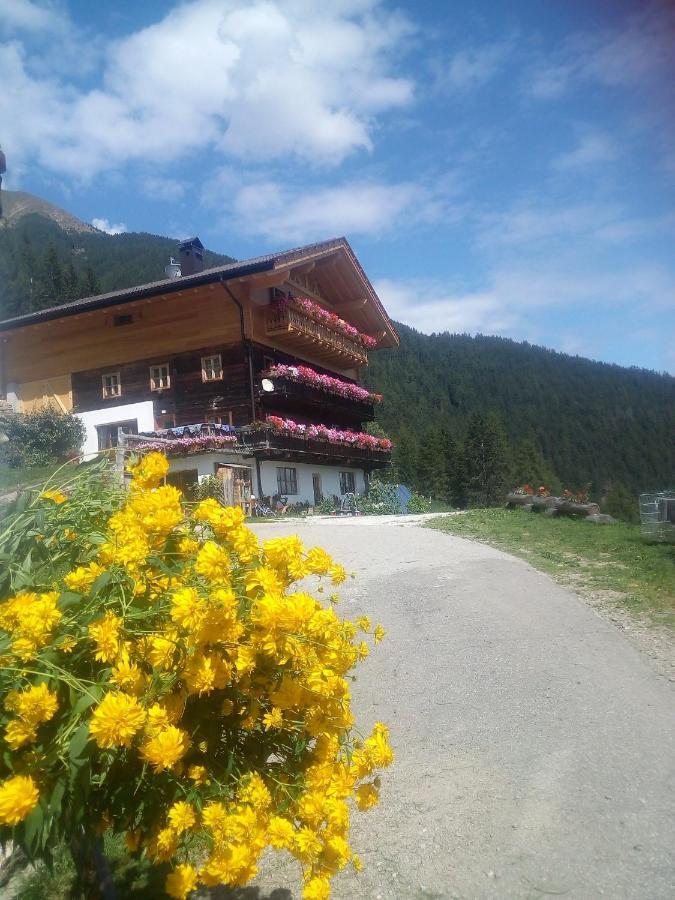 אולטימו Chalet Niederhaushof מראה חיצוני תמונה