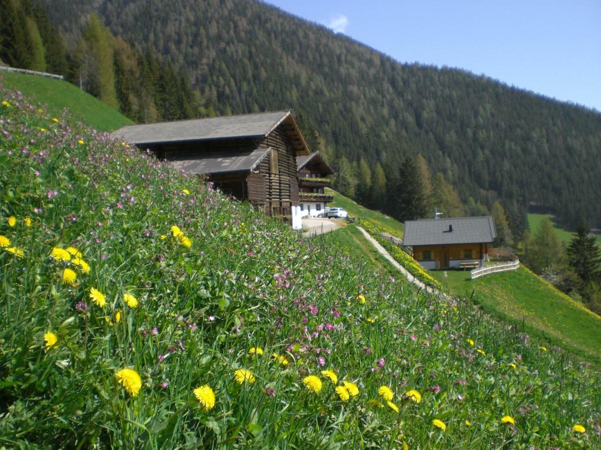 אולטימו Chalet Niederhaushof מראה חיצוני תמונה