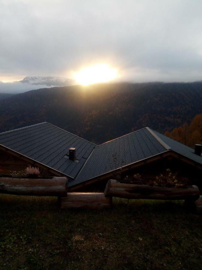 אולטימו Chalet Niederhaushof מראה חיצוני תמונה