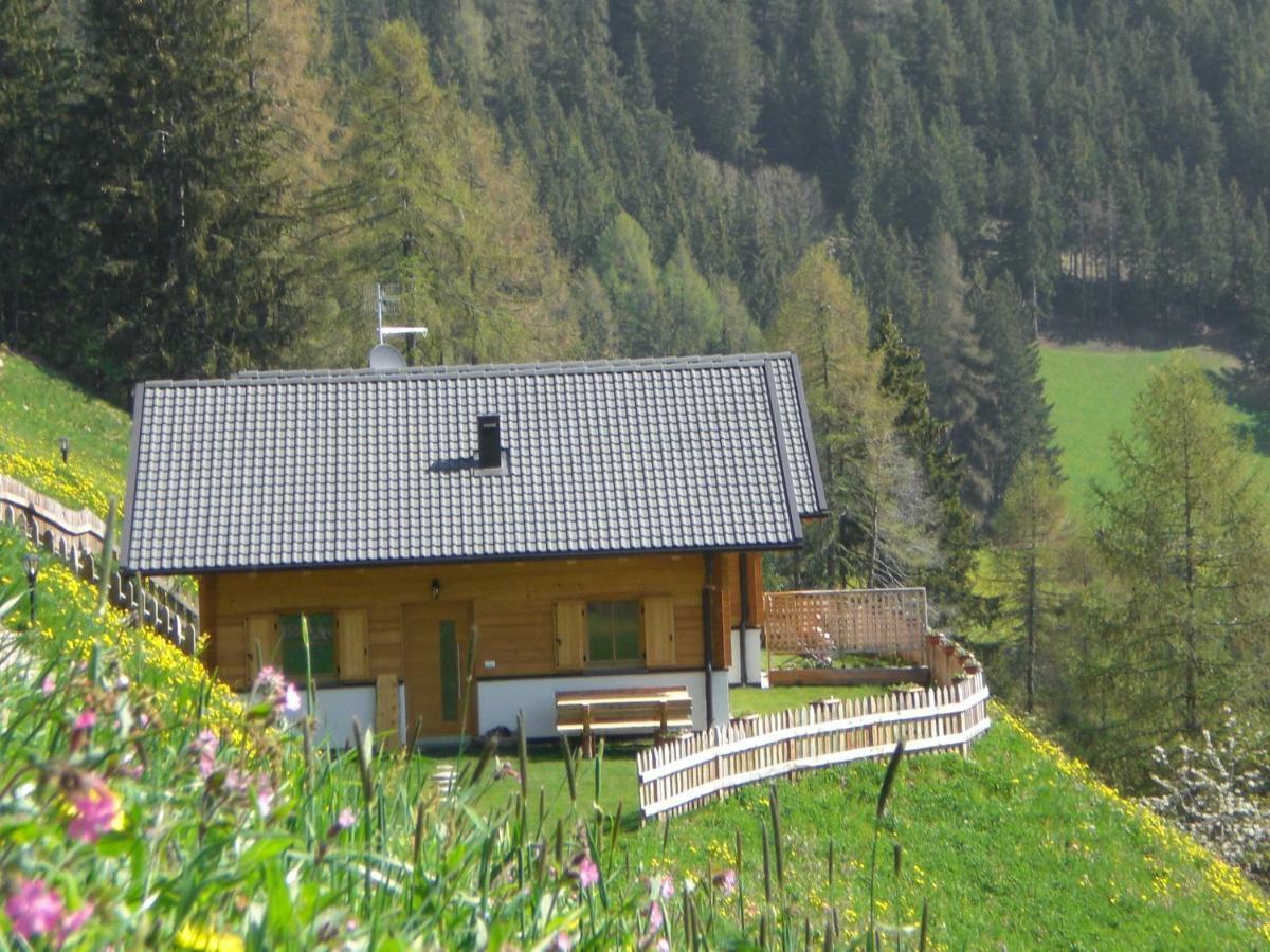 אולטימו Chalet Niederhaushof מראה חיצוני תמונה